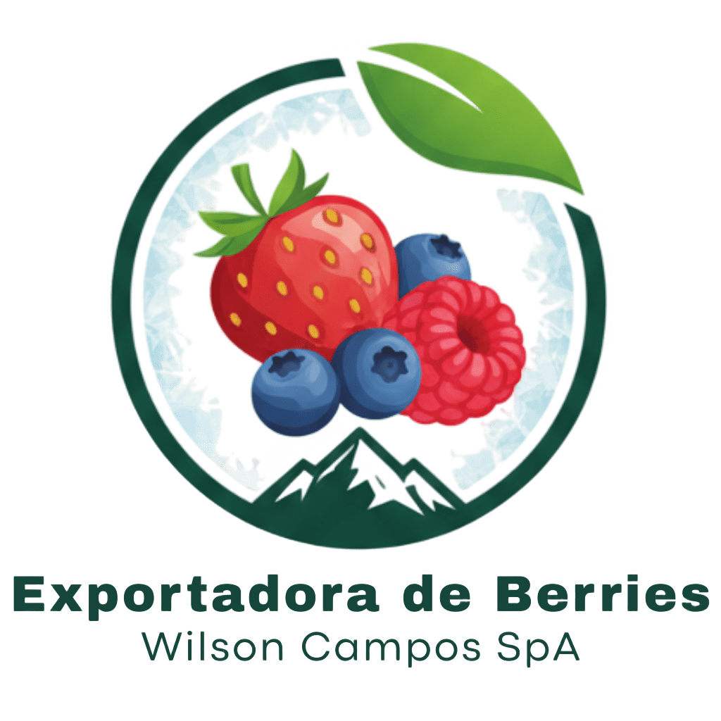 ExportCampos - Expertos en productos congelados